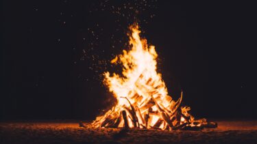 【初心者向け】キャンプで知っておきたい薪の種類「針葉樹 広葉樹」から大きく炎が上がる組み方まで使いこなそう。
