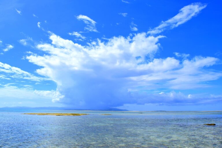 竹富島の観光 石垣島から離島フェリーで行く素朴で温かな沖縄の原風景 Tripio Studio Iota Label 日本 世界の不思議をあるこう