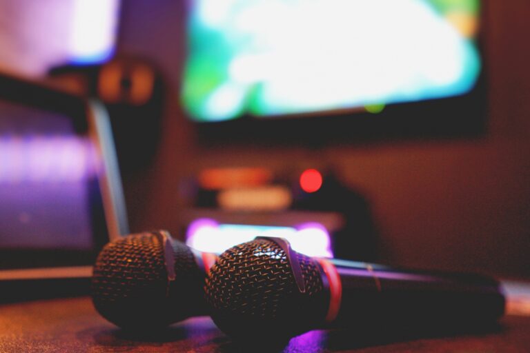 DIY 自作Bluetooth カラオケスピーカー