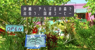 やんばるの自然と共に育つ、日本産コーヒーを味わう旅【沖縄】ヒロコーヒーファーム